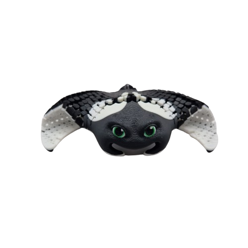 Manta Ray