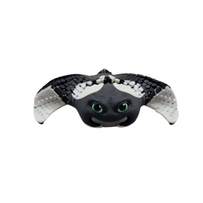 Manta Ray